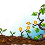 Build habits slowly and reinforce with rewards